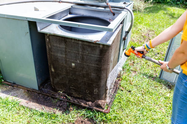 Air Duct Mold Removal in IL