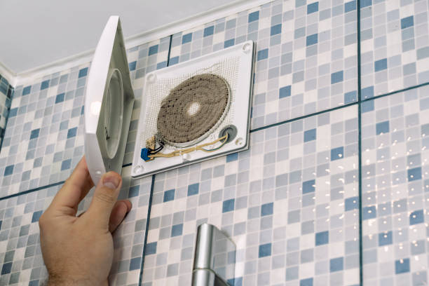 Best Air Duct Sanitizing Services  in Centralia, IL