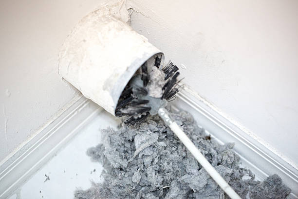 Best Air Duct Mold Removal  in Centralia, IL